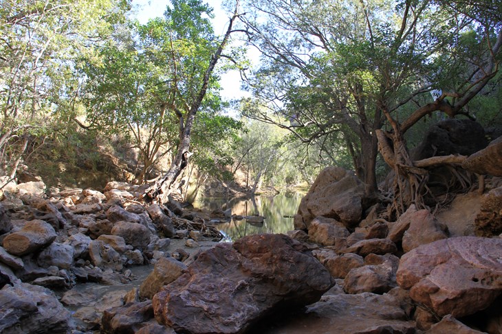 Kids in the Kimberley